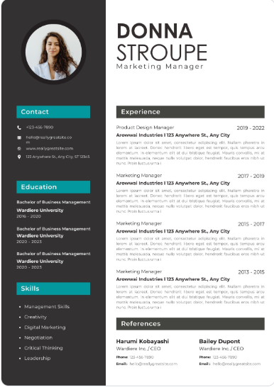 Professional CV Sample 40